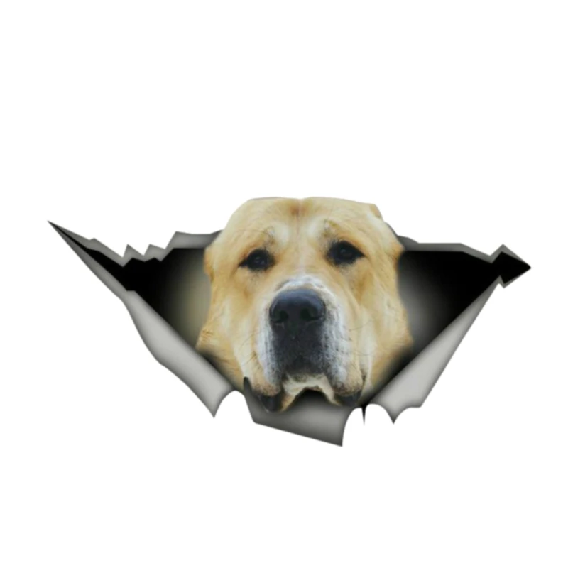 

DAWASARU Golden Sticker 3D Pet Graphic Vinyl Decal Car Window Laptop Bumper Animal Custom Waterproof Car Stickers 13cm X 7cm