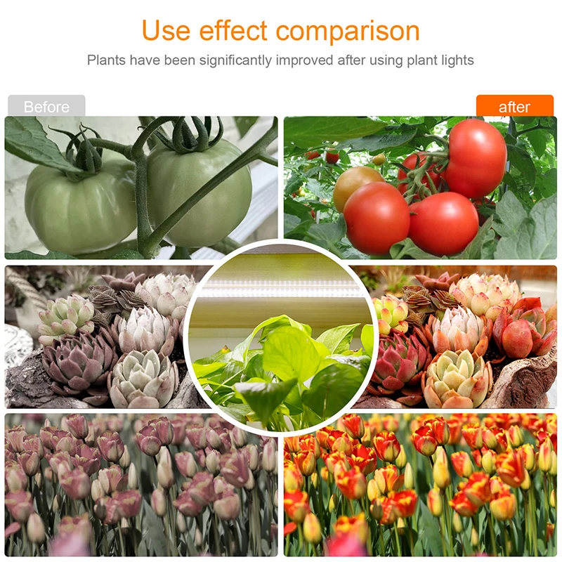Led Grow Light Grow Light USB Timer Phyto Lamp For Plants Dimmable LED Lamp Phytolamps Full Spectrum Hydroponics Growing Lamps