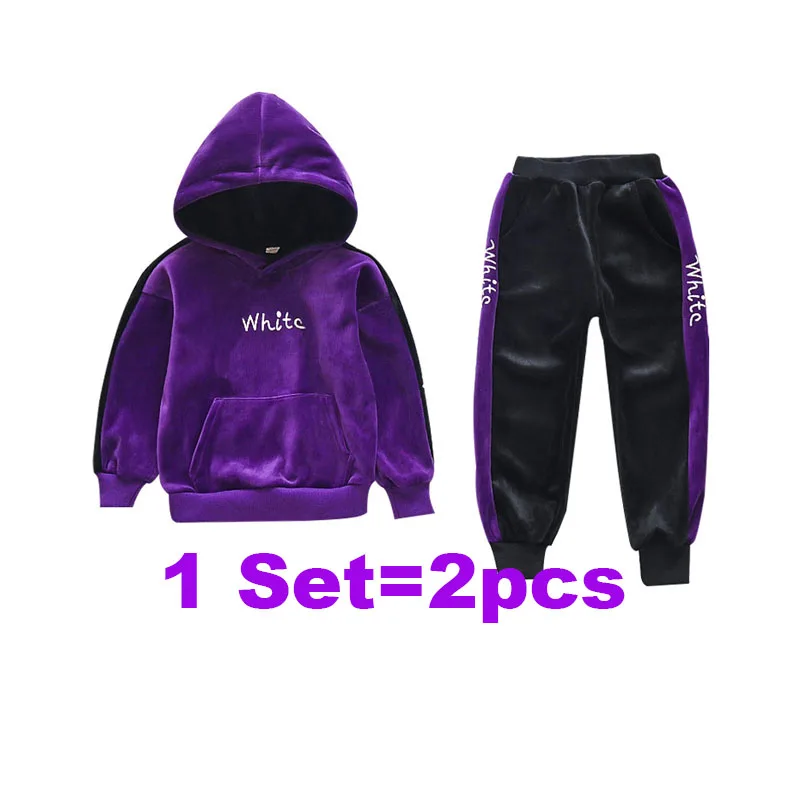 purple 2 pieces Детские теплые костюмы; Повседневная Верхняя одежда с длинными рукавами; комплект из 2 предметов; сезон осень-зима; детский утепленный бархатный свитер с капюшоном - Цвет: purple 2 pieces