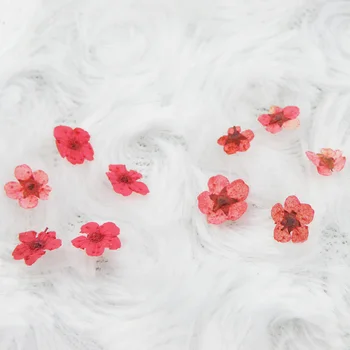 

New 1 Set Nail Art Decoration Small Dried Flower DIY Manicure Accessories for Women Lady SCI88