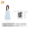 Outdoor Waterproof Illuminated Portable RGB LED Mood Lighting Lantern Lights Camping Lamp Remote Control Night Light with handle 6