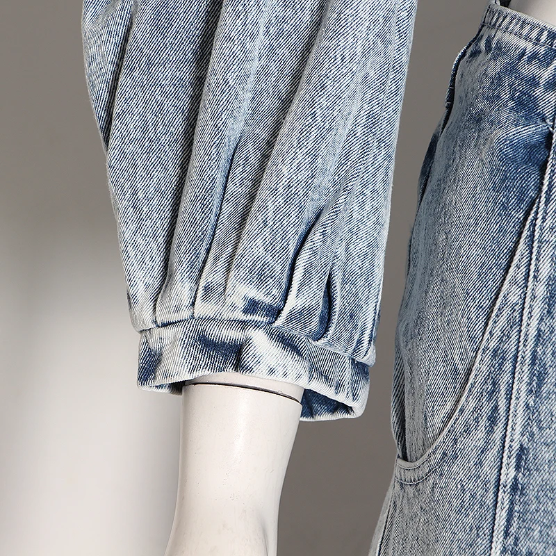 TWOTWINSTYLE Damin комплект из двух предметов для женщин Ruched Puff рукав три четверти Блузки с высокой талией свободные женские брюки костюм