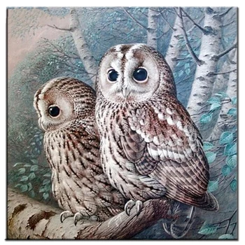 

100% Full 5D Diy Daimond Painting"OWL Couple" 3D Diamond Painting Round Rhinestone Full Diamant Painting Embroidery animal Decor