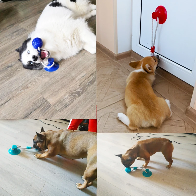 Dog Interactive Suction Cup Push TPR Ball Toys Pet Molar Bite Toy Elastic Ropes Dog Tooth Cleaning Chewing Pet Puppy Dog Toys