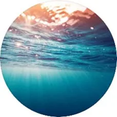 Colour 9 Официальный держатель для телефона с круглым цветком, съемный держатель для гнезда, расширяющаяся подставка и кольцо для пальца - Цвет: Colour 9