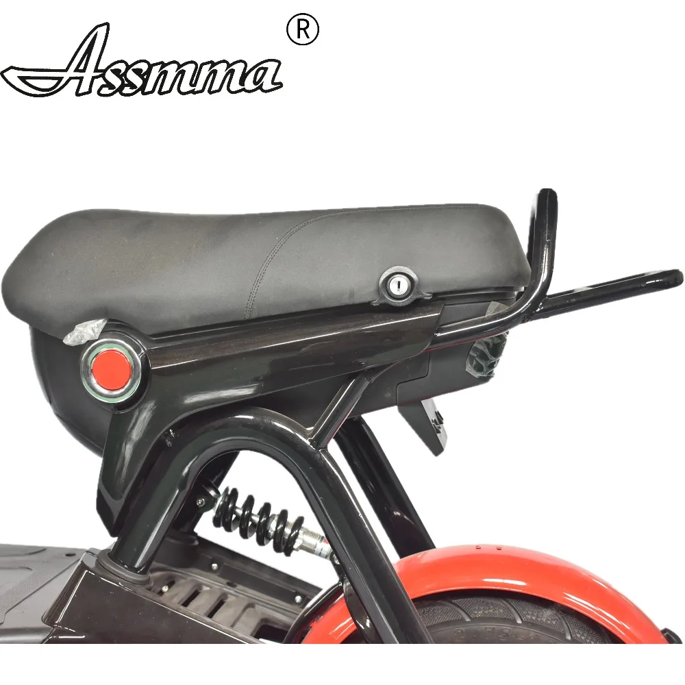 ASSMMA Электрический велосипед два человека седло R& F амортизатор взрослых езда Электрический велосипед OEM