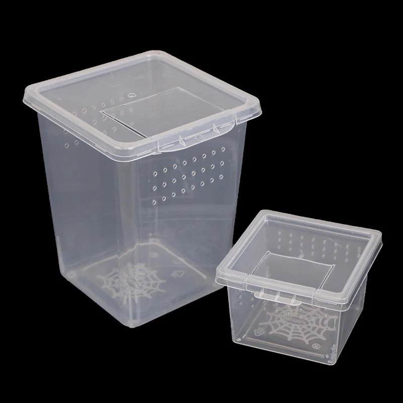 Caja de plástico para almacenamiento de comida, contenedor de transporte para incubar, araña insecto
