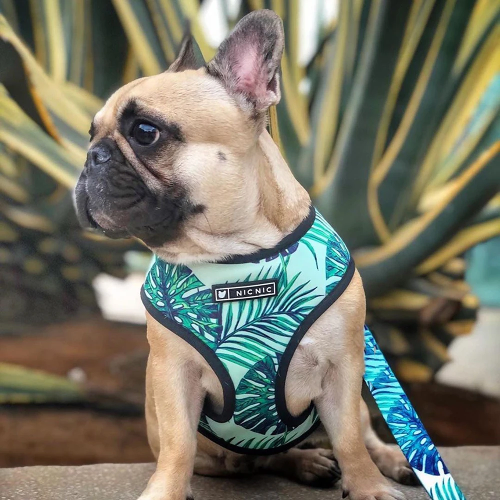 

French Bulldog Pet Dog Harness No Pull ins Pets Vest Harness and Leash Set for Small Medium Dogs Nylon Fashion Printed Cats Pug