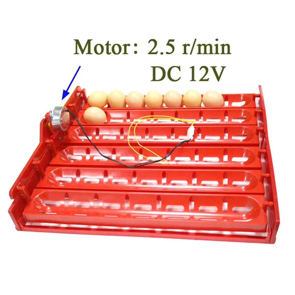 DC 12V