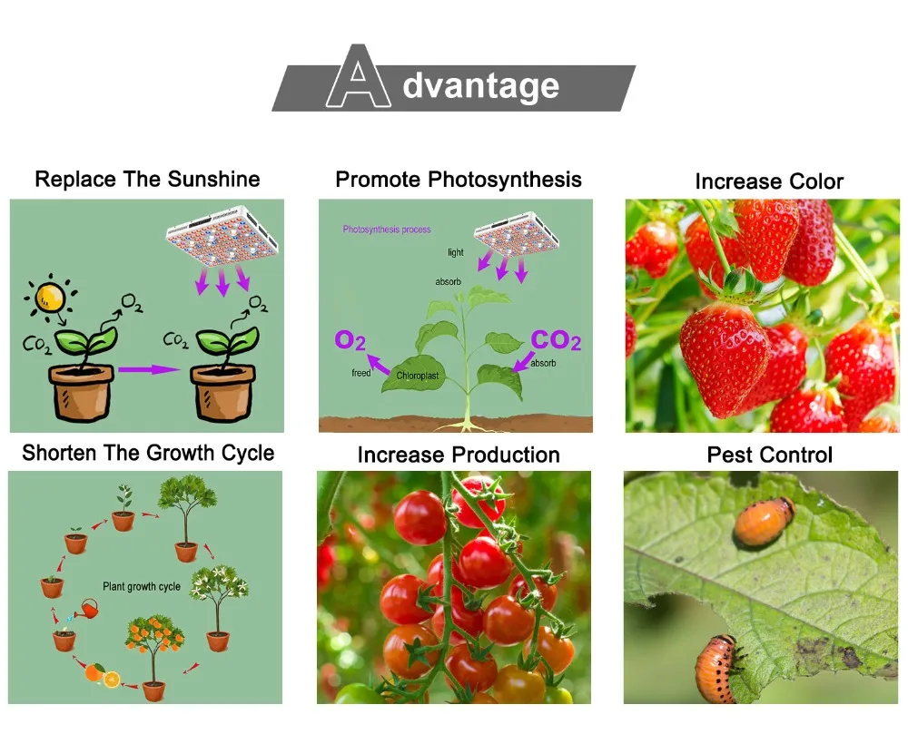 COB详情页修改后3_12