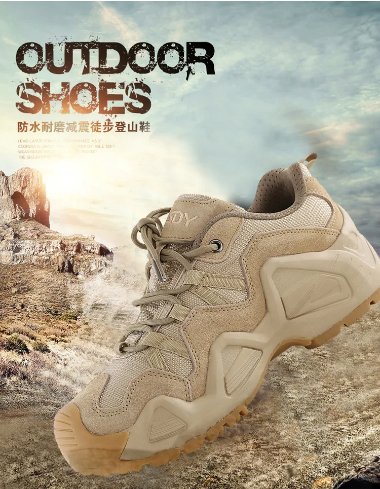 O1CN01pMepFy1QLGPn42QPp_!!3383001959