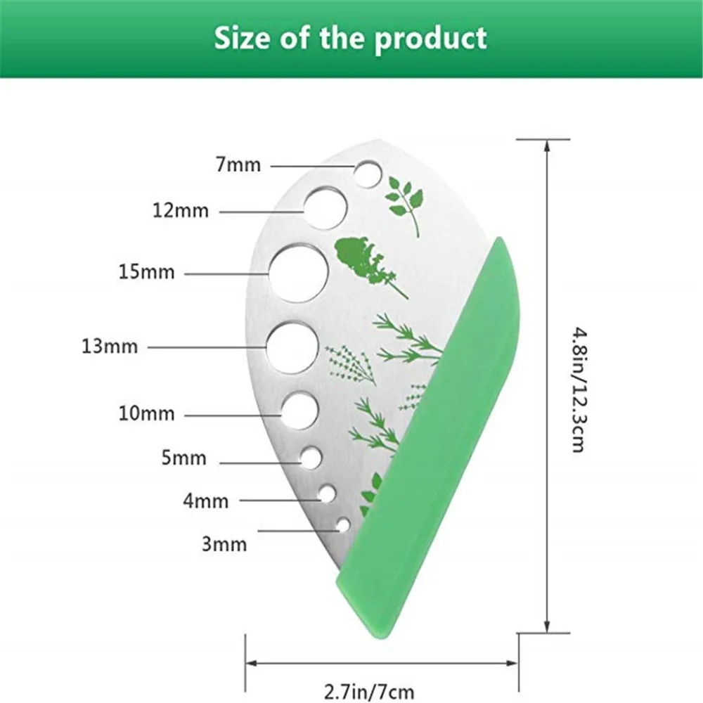 SUN91231052_0306446831519689828