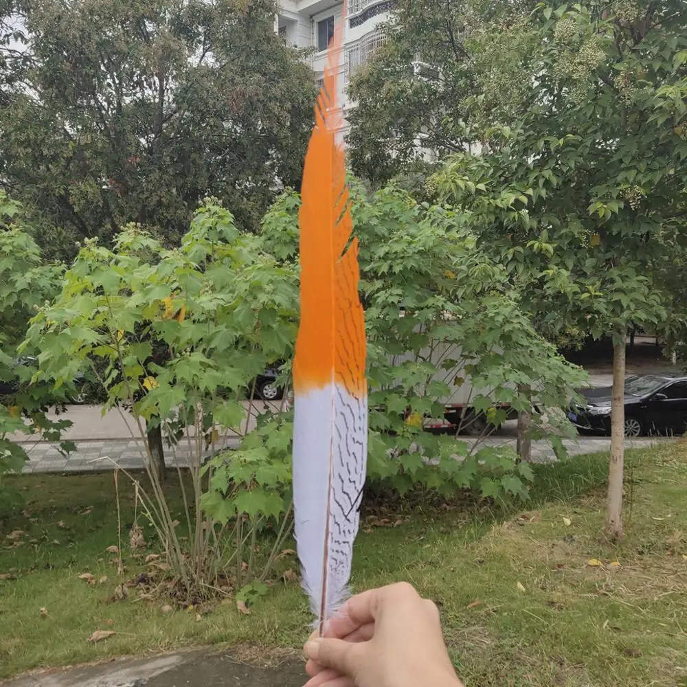 Hot Selling 50/100pcs Natural Silver Pheasant Feathers 70 75cm/28