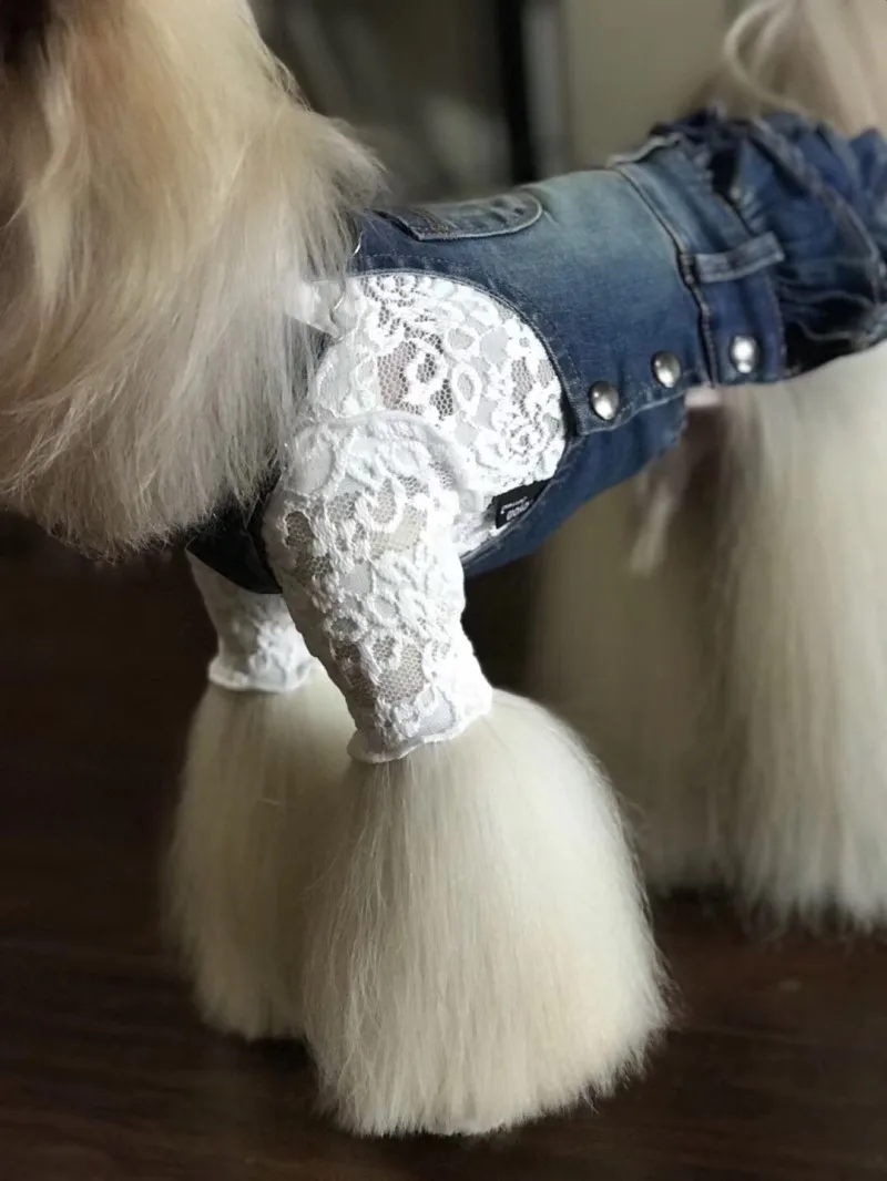 Товары для домашних животных модные джинсовые платья для собак маленький щенок чихуахуа МАЛЬТИЙСКАЯ Собака Йоркширский терьер одежда