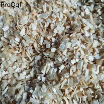 

Ngryise 300Gram A Set Populus tomentosa wood lizard like