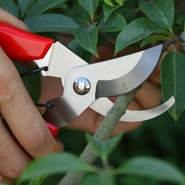 Multifunctional Pruning Shears, Garden Clippers Handheld Pruning Snip Plant  Trimming Scissors for Garden Orchard