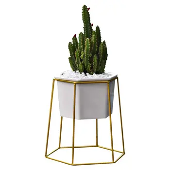 

Planter Pots Indoor Hexagon Modern Garden Ceramic Round Bowl with Metal Air Plant Stand for Succulent Planter Cactus (White + Go