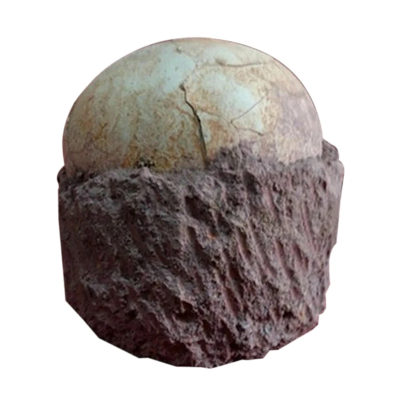 

Segnosaur Dinosaur Egg Fossilized Crystallized Fossil Jurassic Cretaceous World