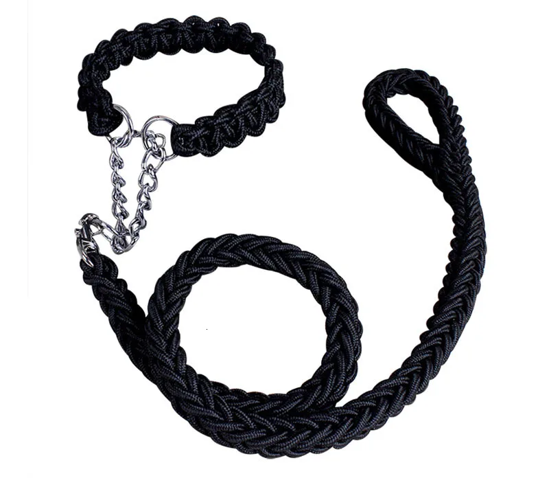 dog leash training