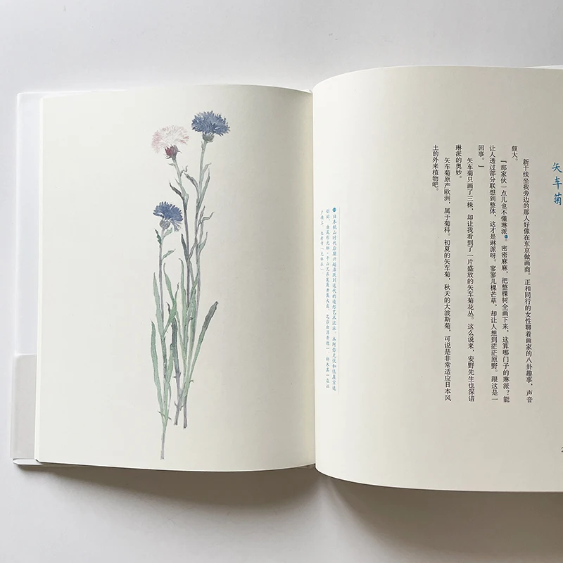 Shinso Hana Flowers Beautiful Watercolor Painting Book Illustrations By Mitsumasa Anno Chinese Edition Simplified Chinese Arts Photography Aliexpress Shinso Hana Flowers Beautiful Watercolor Painting Book Illustrations By Mitsumasa Anno Chinese Edition Simplified Chinese Arts Photography Aliexpress