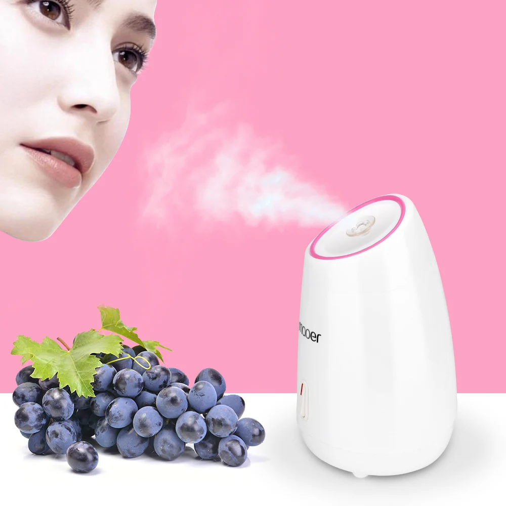 DIY Fruit Steam Sprayer Beauty Machine Facial Steamer Moisturizing Pore Cleansing Nano Ionic Mist Face Humidifier Sauna | Красота и