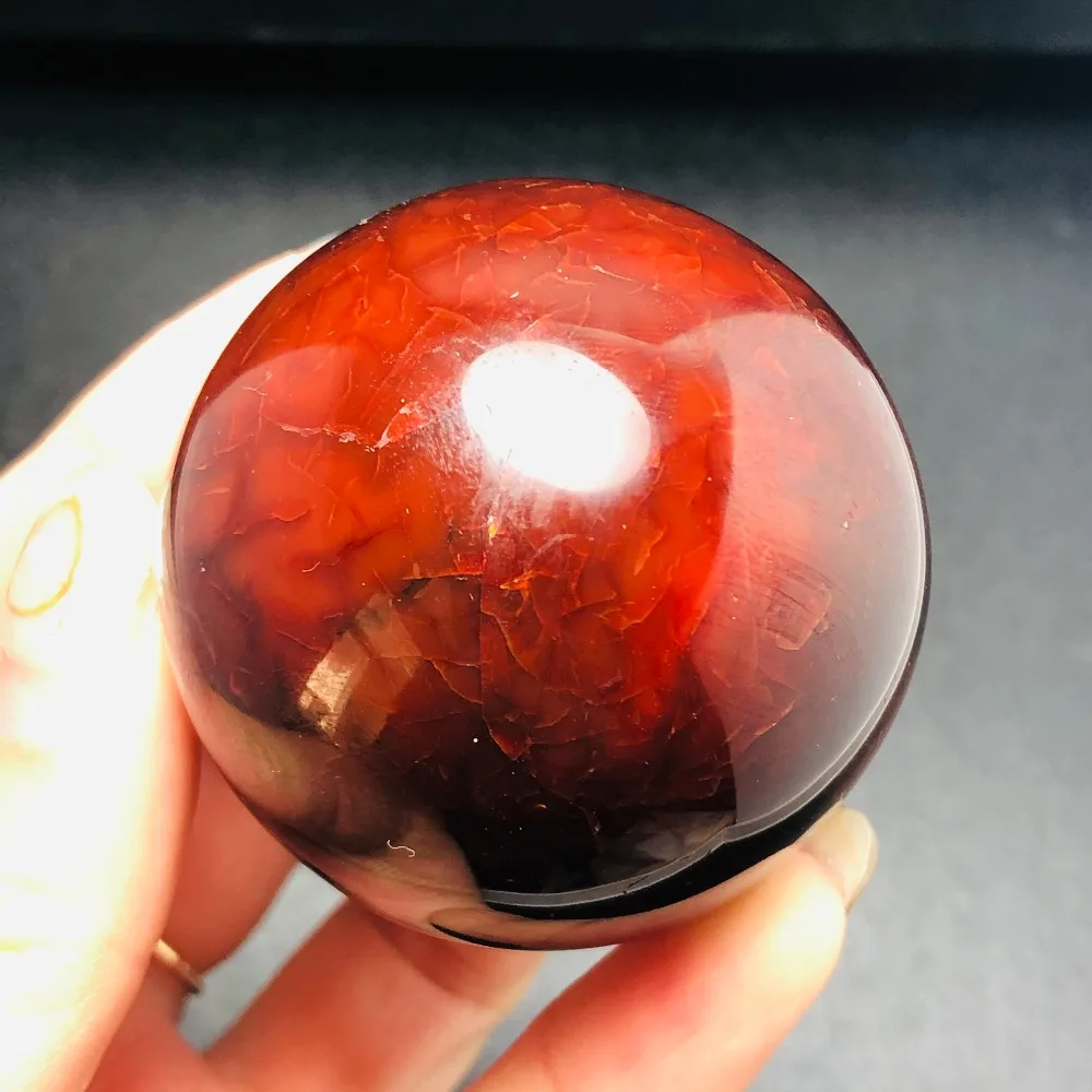 IMG_2632(20200223-101109)