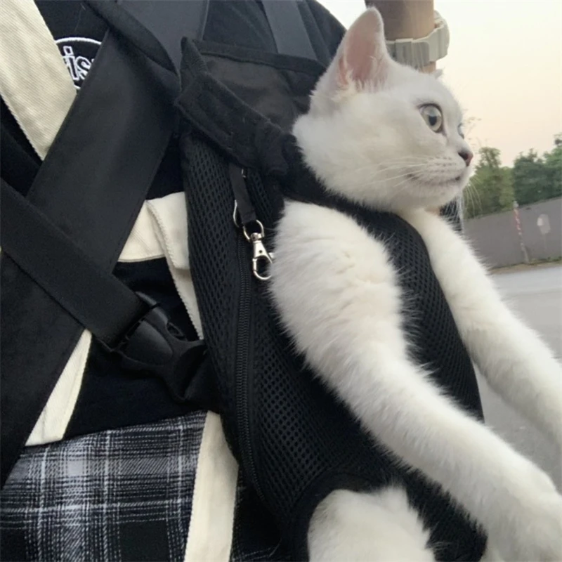 Cat Front Pack Carrier