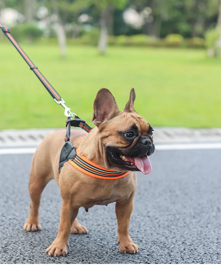 10811017876_1140681681