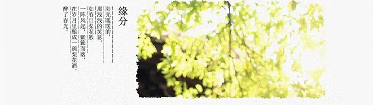 Весенне-осеннее Женское пальто из хлопка и льна с принтом, Длинные рубашки, верхняя одежда, женские блузки с длинным рукавом, Cemisas Femininas, топы, пальто DF887