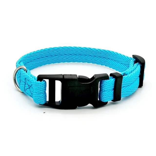 Nylon Webbing Dog Collar Fashion Buckle Pet Collar for Small Medium Dogs Chihuahua Dog Red Black Blue Orange Pet Accessory 6