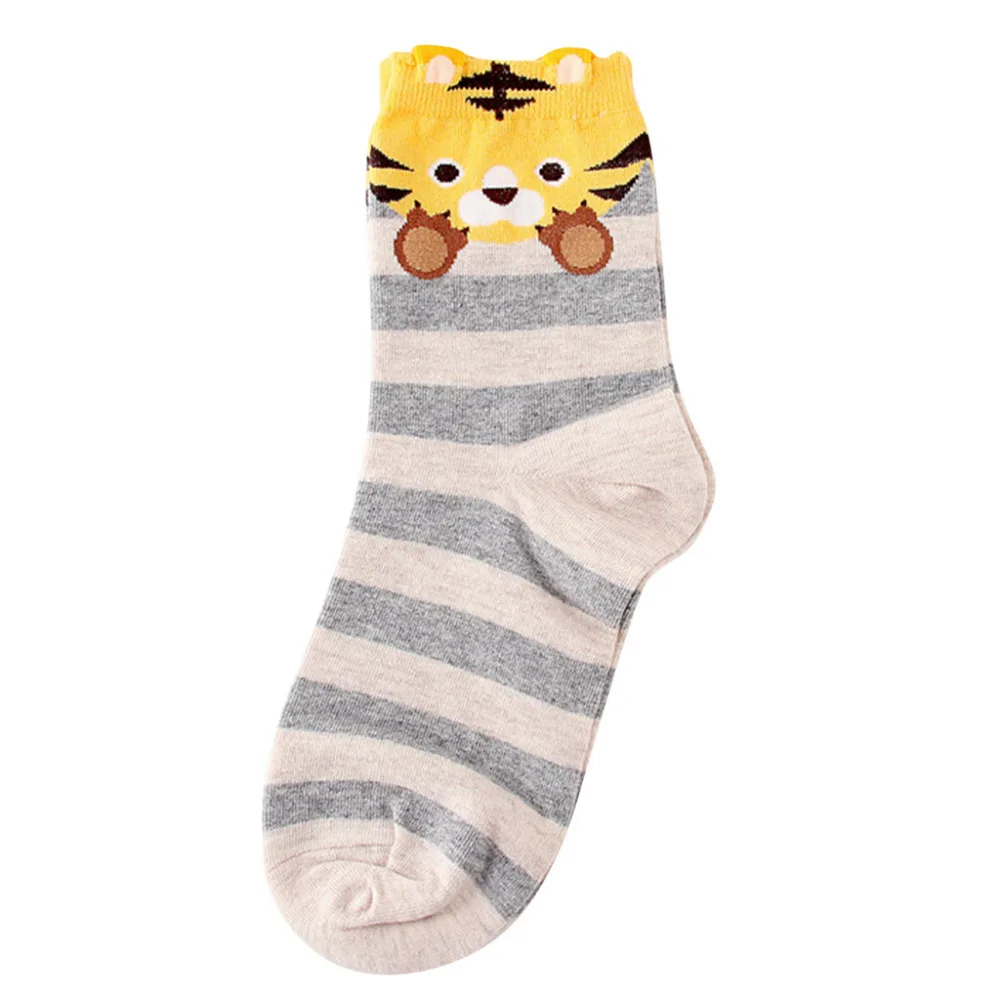 XLP81207697_20181207035118626