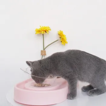 

Novel C.t Ear Bowl Protection Cervical Spine Adjustable Angle Oblique Double Bowl Non-slip Cat Bowls Double Bowls Pet Supplies1