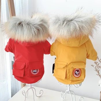 

Winter Dog Coat Jacket Fur Collar Pet Clothes For Small Medium Dogs Costume Warm Puppy Outfit Chihuahua Bulldog Pet Clothing Pug