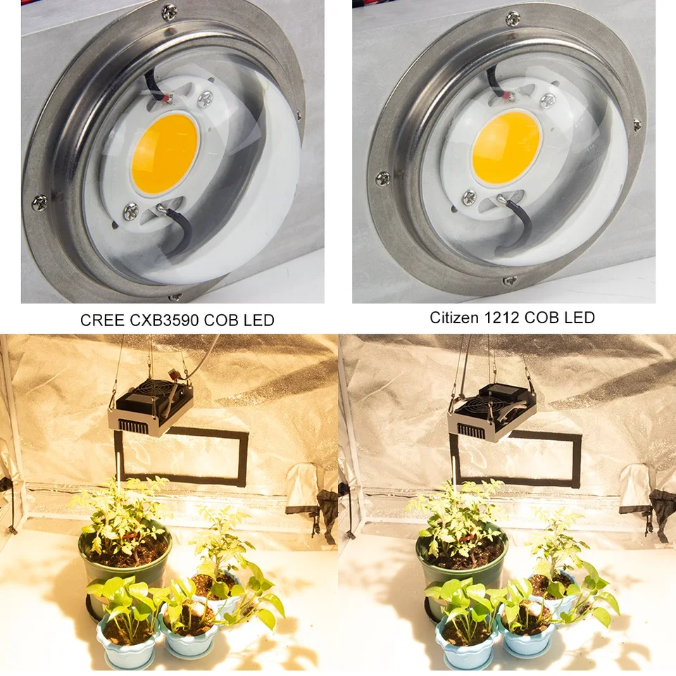 CF Grow CXB3590 200W COB LED CXB3590 COB LED Growth Lamp Full