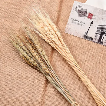 

20Pcs/lot Real Wheat Ear Flower Natural Dried Flowers For Wedding Party Decoration DIY Craft Scrapbook Home Decor Wheat Bouquet