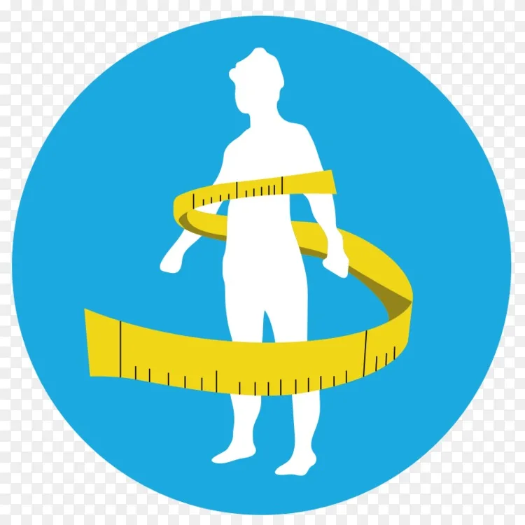 体脂百分比脂肪组织适形3d 体型png图片素材免费下载 图片编号 Png素材网