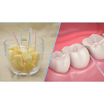 

1package Soft Plastic Brushed Toothpick Oral Care 6.5Cm Hot Sale Floss Toothpick Teeth Care Floss Pick