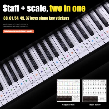

Newly Music Keyboard Piano Stickers Transparent Removable for 37 49 54 61 88 Keys Keyboards