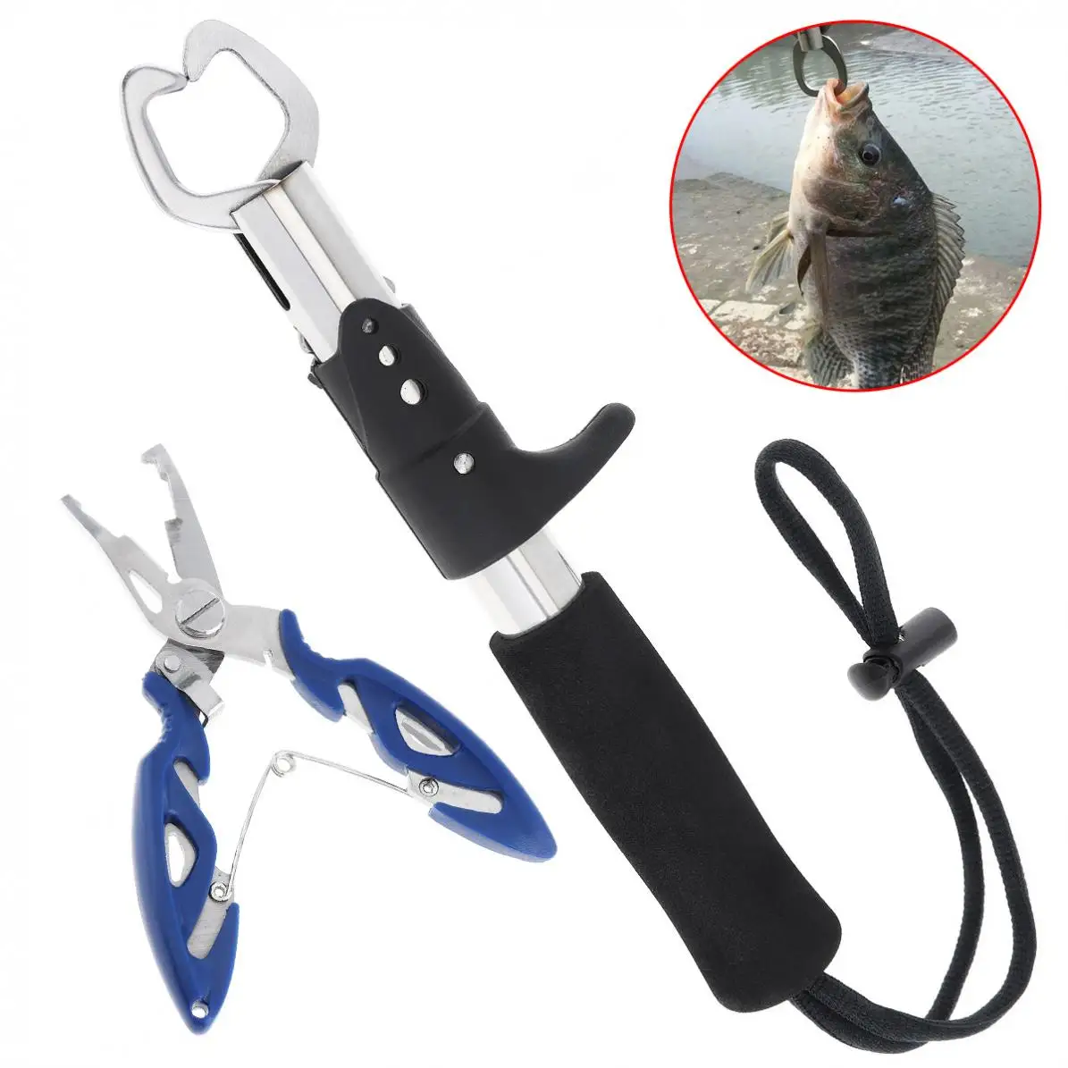 fish clamp holder