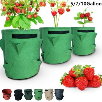 

Strawberry Plant Growing Bag 5/7/10 Gallon Multi-mouth Container Bags Grow Planter Bag Root Bonsai Flower Pot Garden Supplies#5