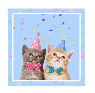 1Set Pet Cats Birthday Paper Cup Plate Napkin Party Bunting Cat Kids Happy Birthday Banner Party Baby Shower Decoration Supplies 