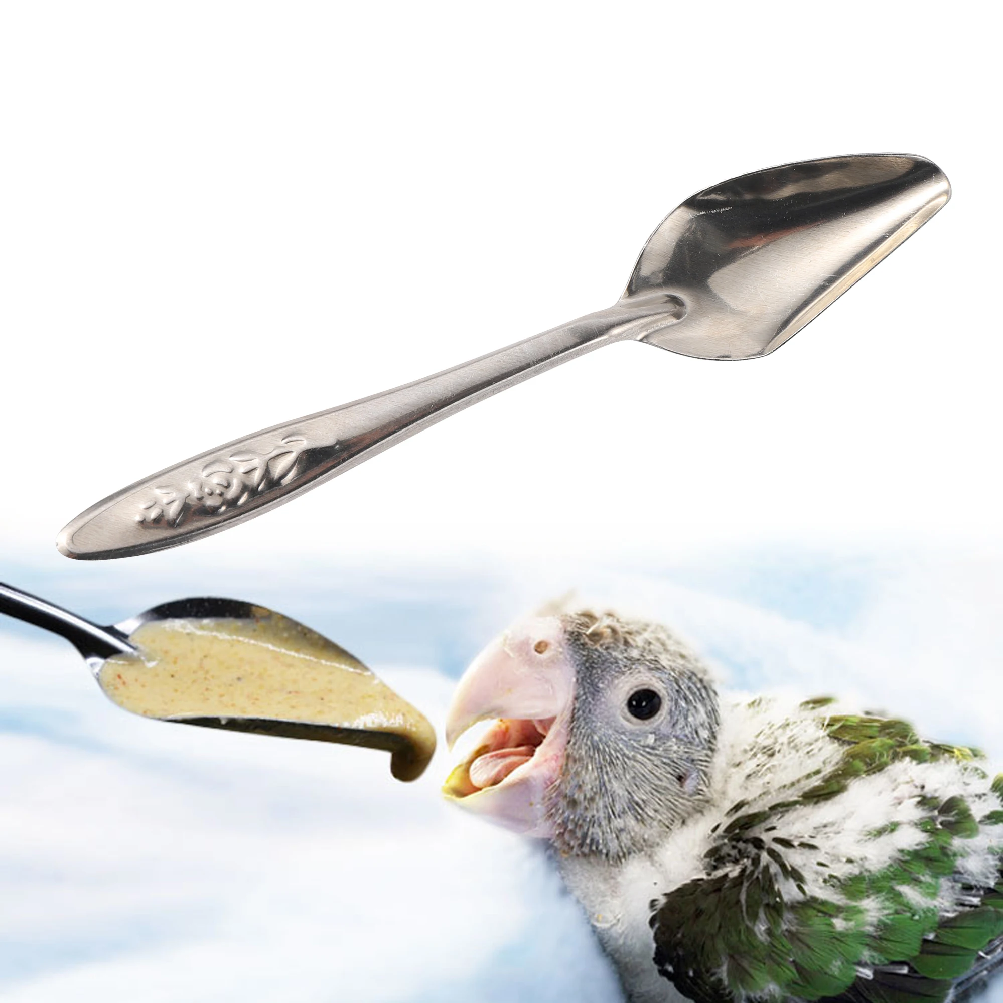 5pcs Portable baby bird feeding water spoon bird parrot feeding spoon stainless steel water milk powder feeder