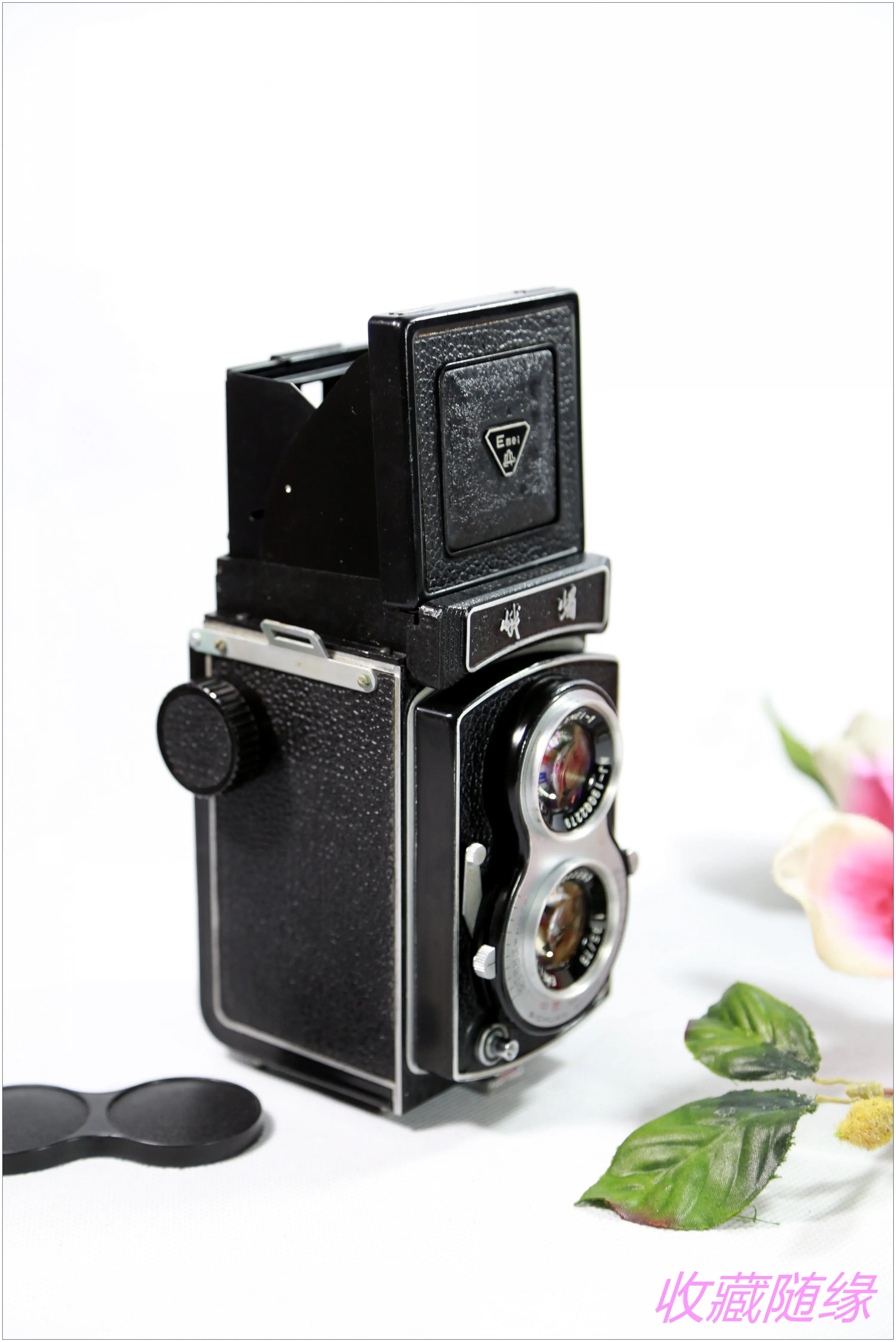 dual lens film camera