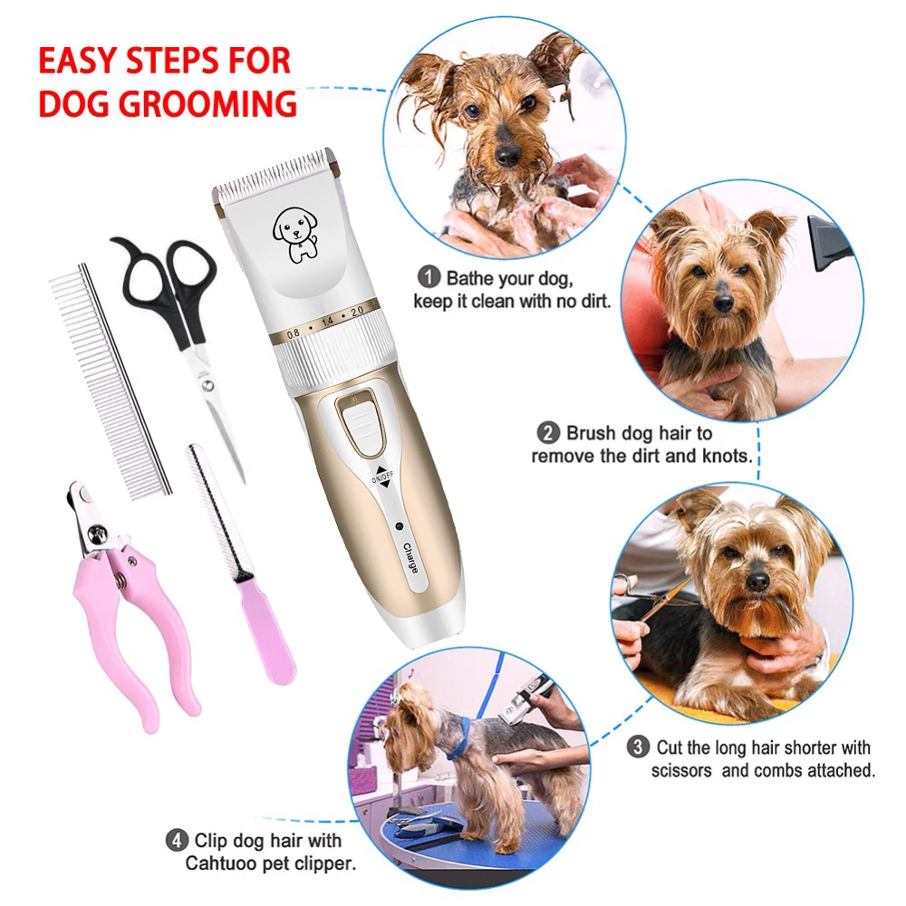 9318c31c017041095e93f8f9fea31e8