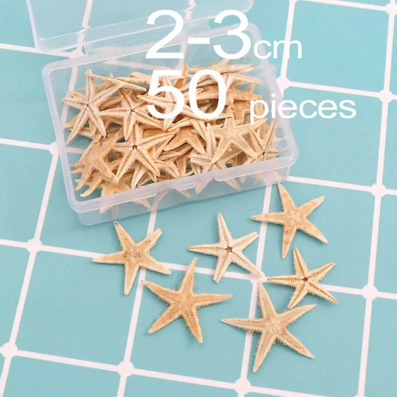 

Natural Starfish Seashell Beach Craft Natural Sea Stars DIY Beach Decor