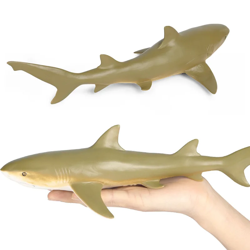 【レア即完売品】H&O SC WING TOP 50 / SHARK サメ A set that includes a great white shark and a hammerhead