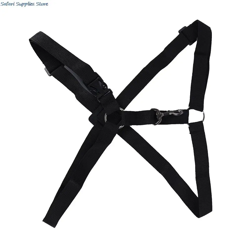 Slide image 822c75a452234fe49c1309c7975bb55f