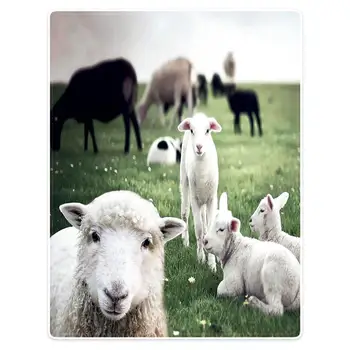 

HommomH Blanket 150x200 cm blanket soft flannel soft portable cute sheep