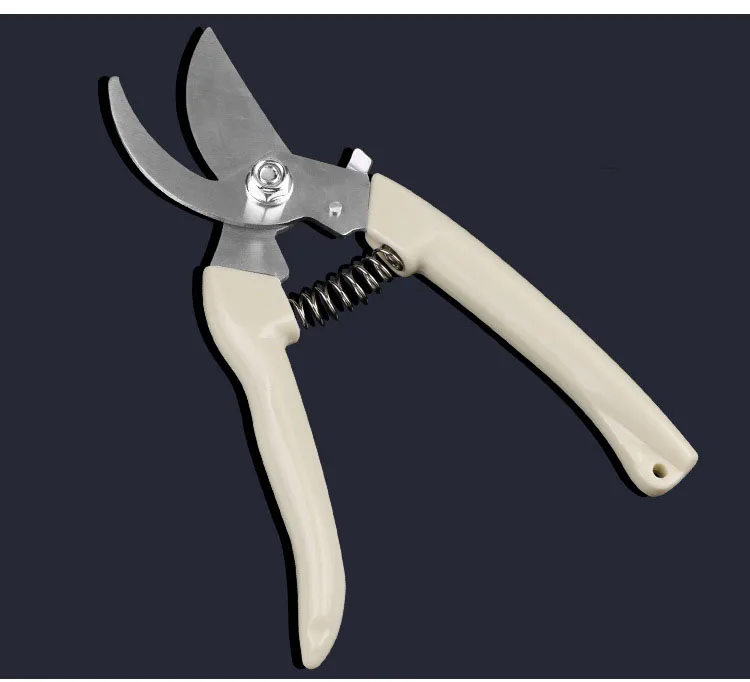 3121124023_598991726