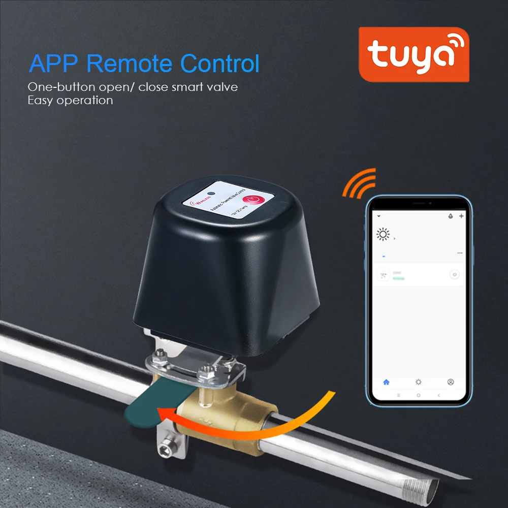 Interruptor Inteligente Tuya Smart WiFi Interruptor De Luz Temporizador De 2 Vias 16a Modulo De Inte Likrtyny Para Estrenar
